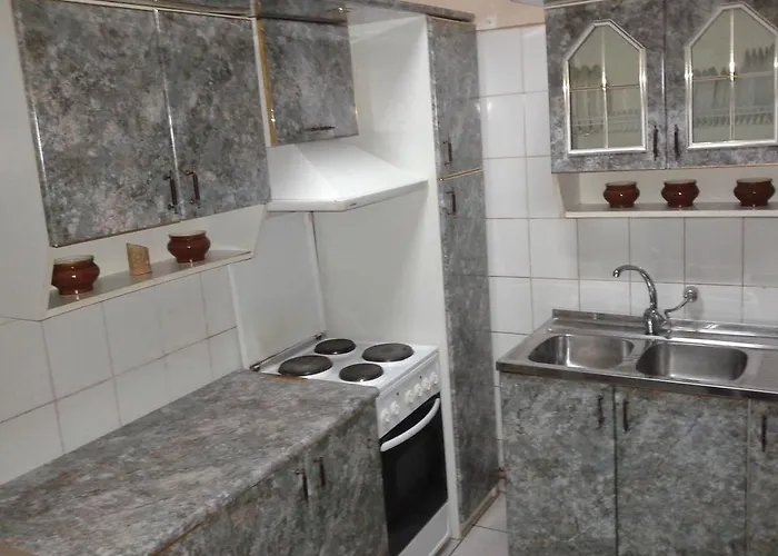 Apartment Comfortable Lviv